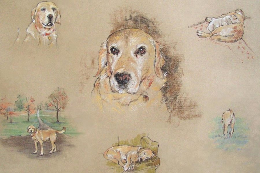 Animal Portraits - Mortimer in pastel