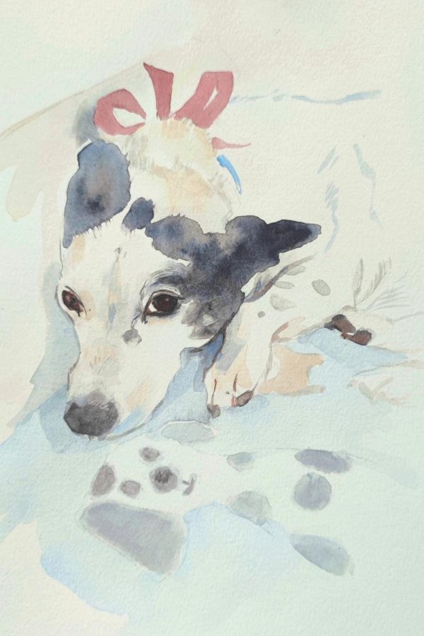 Dog portrait of Dolly in watercolour