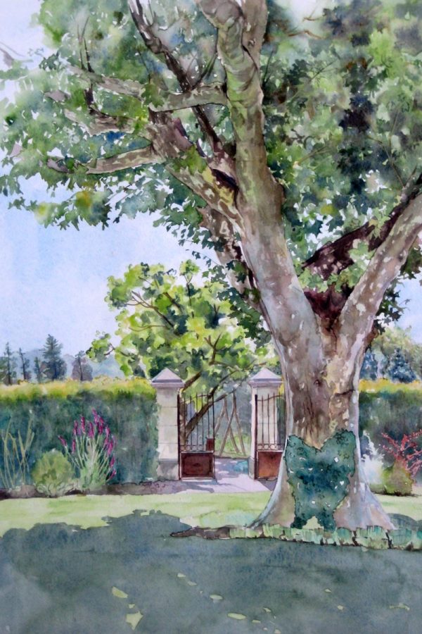 Garden Portrait with large tree